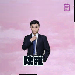 陆雅